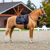 Dressage Saddle Pad ES Line Black Dressage Saddle Pad ES Line Black