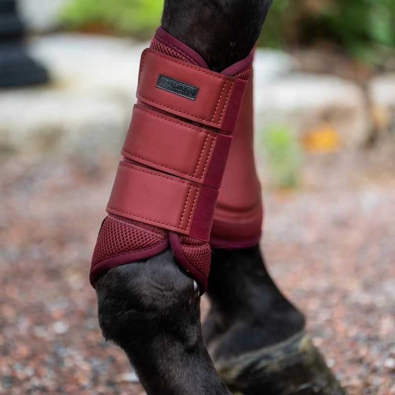 Brushing Boots ES Mesh Bordeaux