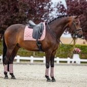 Dressage Saddle Pad ES Line Pink Dressage Saddle Pad ES Line Pink