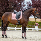 Brushing Boots ES Mesh Pink Brushing Boots ES Mesh Pink
