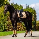 Dressage Saddle Pad ES Modern Midsummer Glow Dressage Saddle Pad ES Modern Midsummer Glow