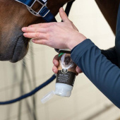 Mouth Balm Apple 150ml Mouth Balm Apple 150ml