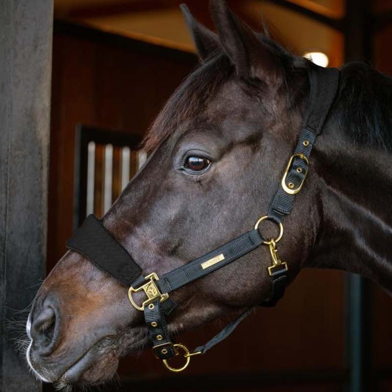 Halter FIR-Tech Grand Black