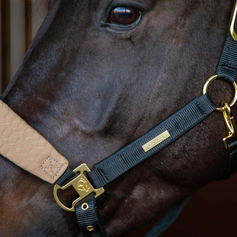 Halter FIR-Tech Grand Beige