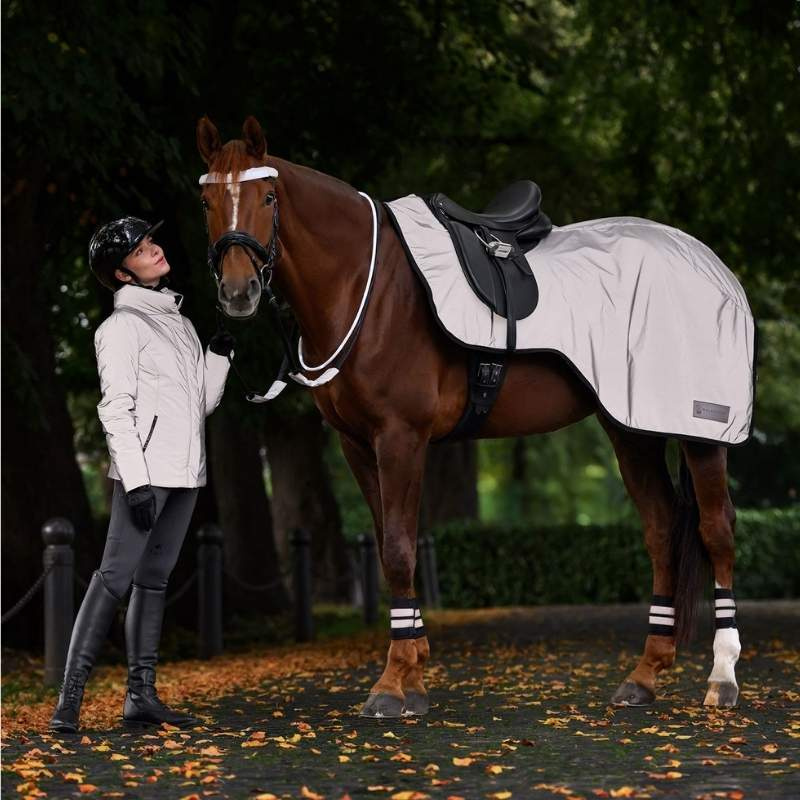 Exercise Sheet Reflex Silver
