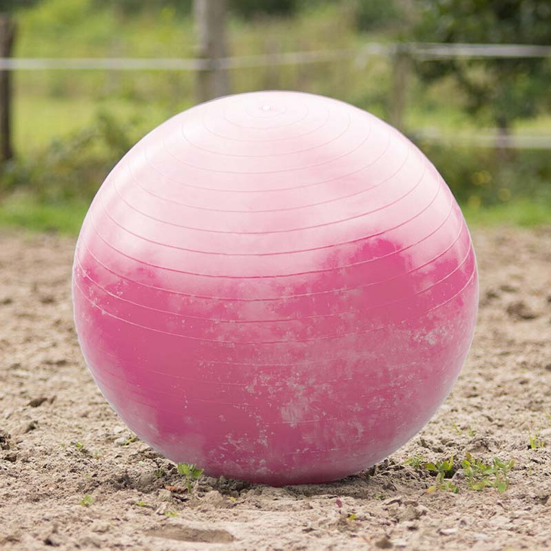 Horse Soccer Pink