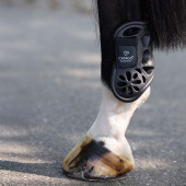Fetlock Boots EVA GUMFLY Black Fetlock Boots EVA GUMFLY Black