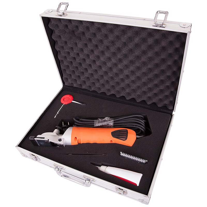 Clipper Eagle Expert Orange