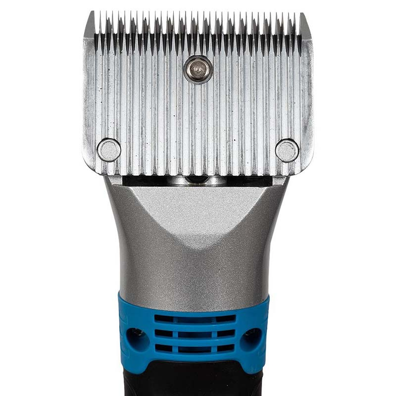 Clipper Vulture Blue