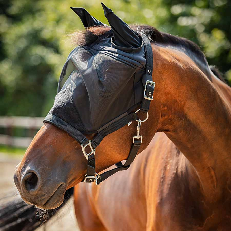 Halter with Fly Veil HG Black