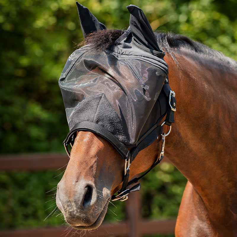Halter with Fly Veil HG Black