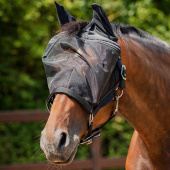 Halter with Fly Veil HG Black Halter with Fly Veil HG Black