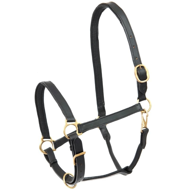 Leather Halter Robust Black