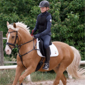 Breastplate Safety Rein Secutrust Black Breastplate Safety Rein Secutrust Black