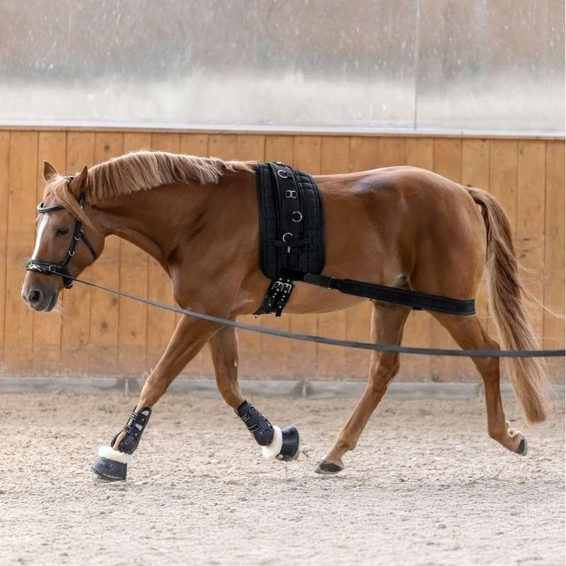Body Bandage Elastic Black Cob/Full