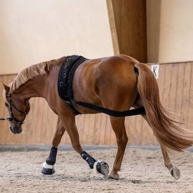 Body Bandage Elastic Black Cob/Full