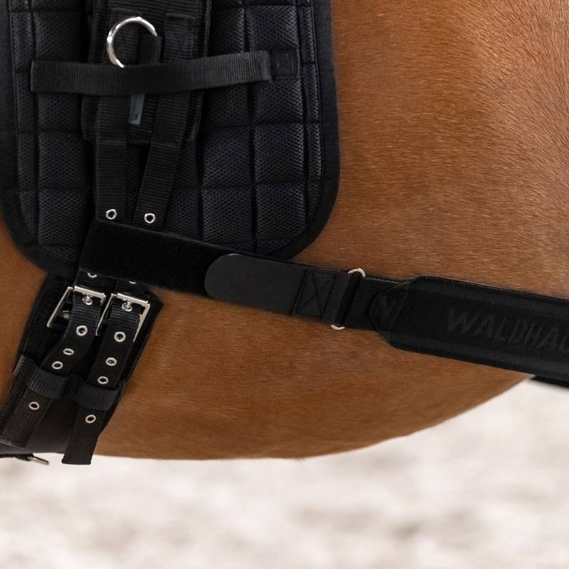 Body Bandage Elastic Black Cob/Full