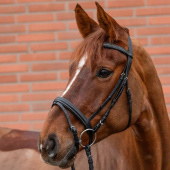 Bridle Diamond Black Bridle Diamond Black