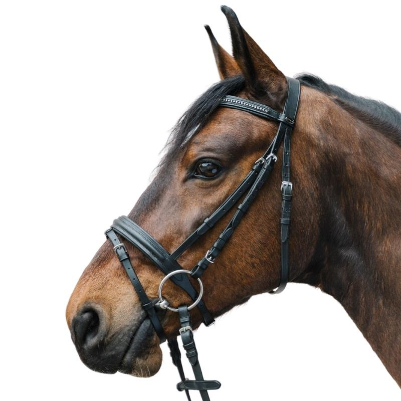 Bridle Diamond Black
