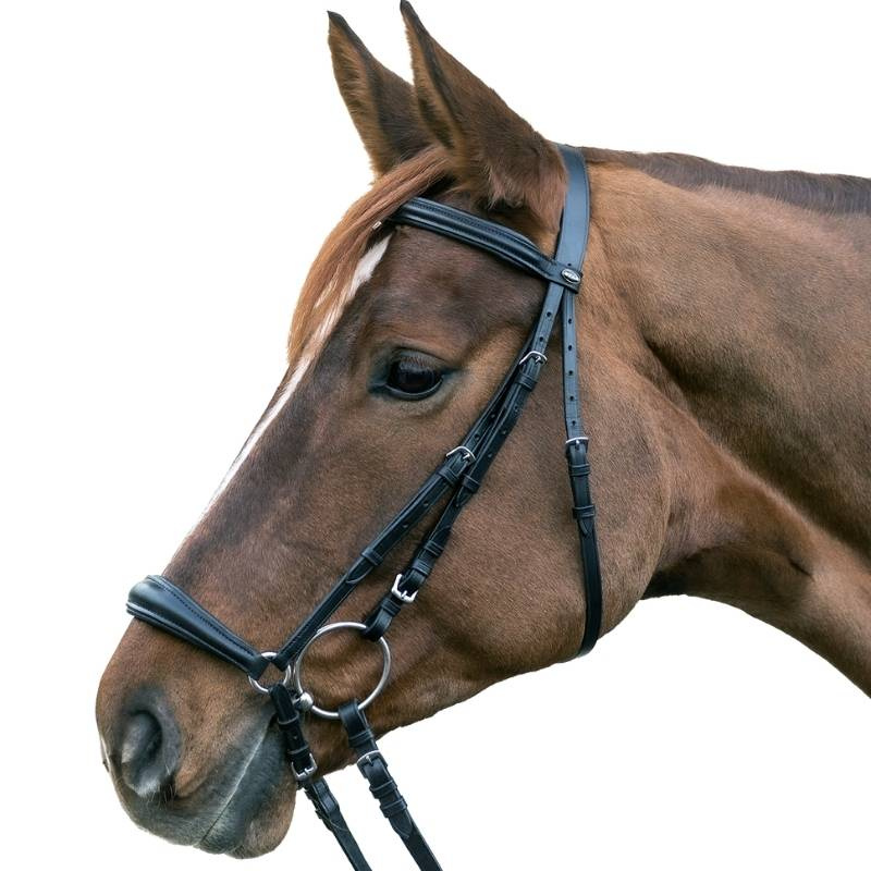 Drop Noseband Bridle Hannover Black