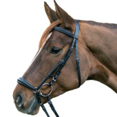 Drop Noseband Bridle Hannover Black Drop Noseband Bridle Hannover Black