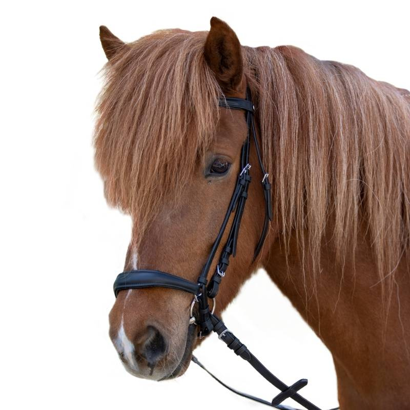 Drop Noseband Bridle Hannover Black
