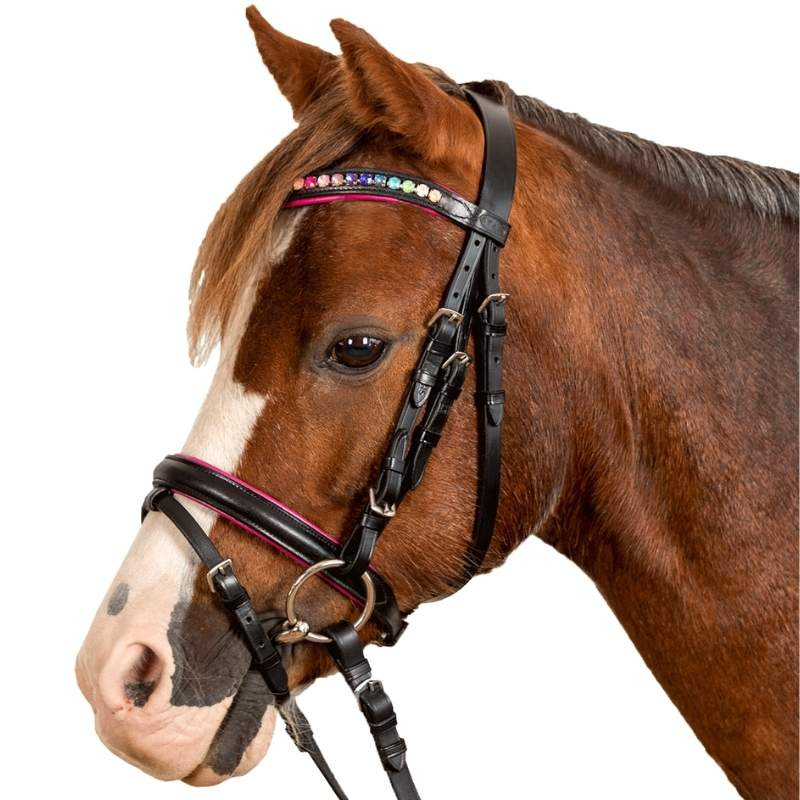 Bridle Pinky Black/Pink