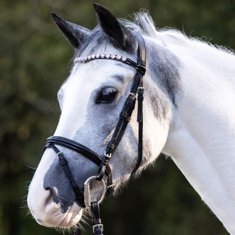 Bridle Happy Hearts Black