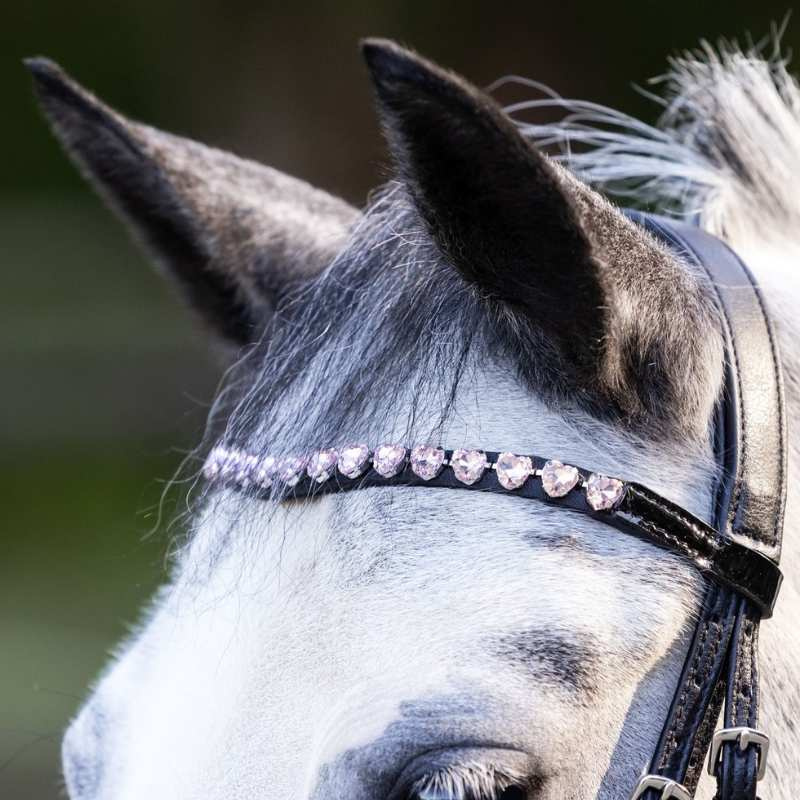 Bridle Happy Hearts Black