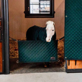 Stable Guard Dark Green Stable Guard Dark Green