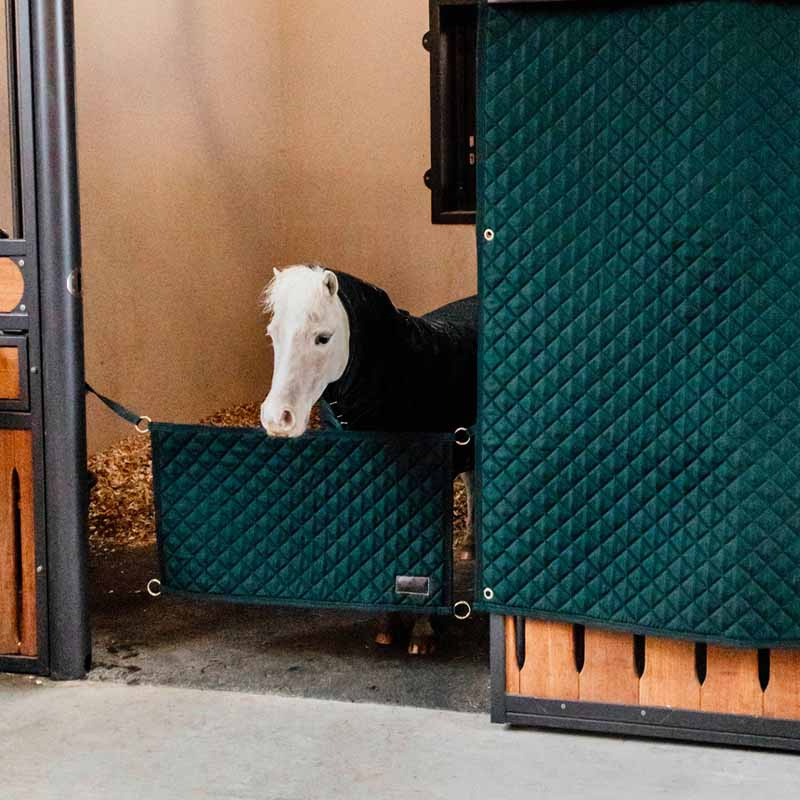 Stable Guard Dark Green