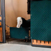 Stable Guard Dark Green Stable Guard Dark Green