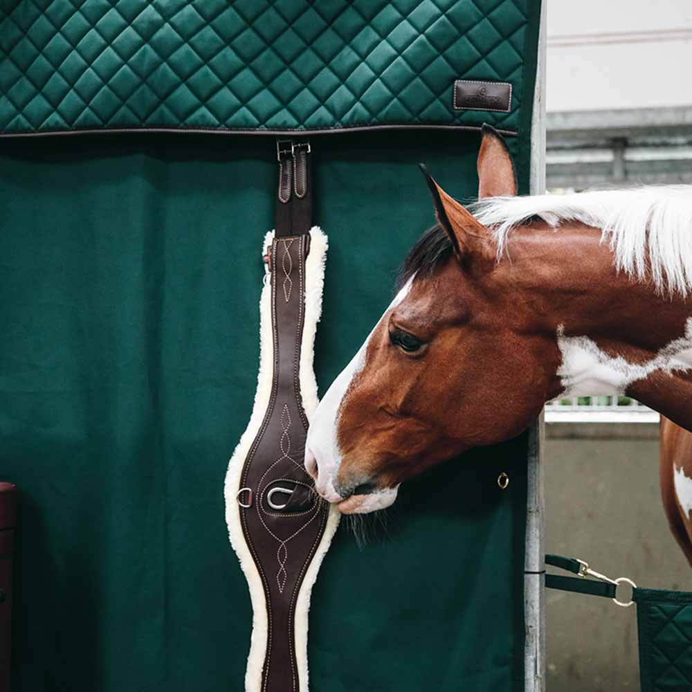 Stable Curtain Waterproof Dark Green