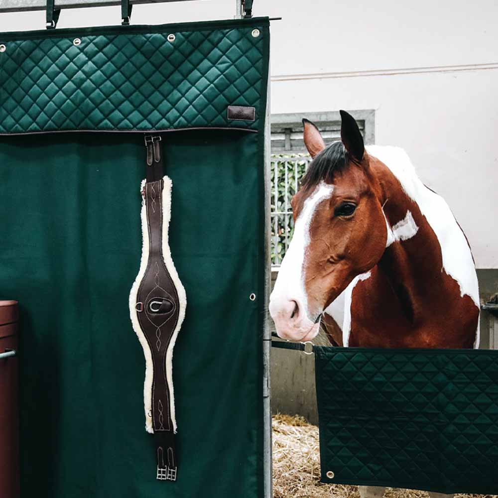 Stable Curtain Waterproof Dark Green