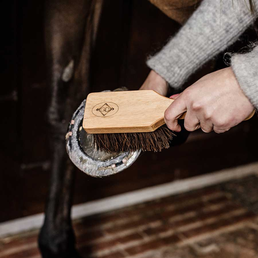 Hoof Brush