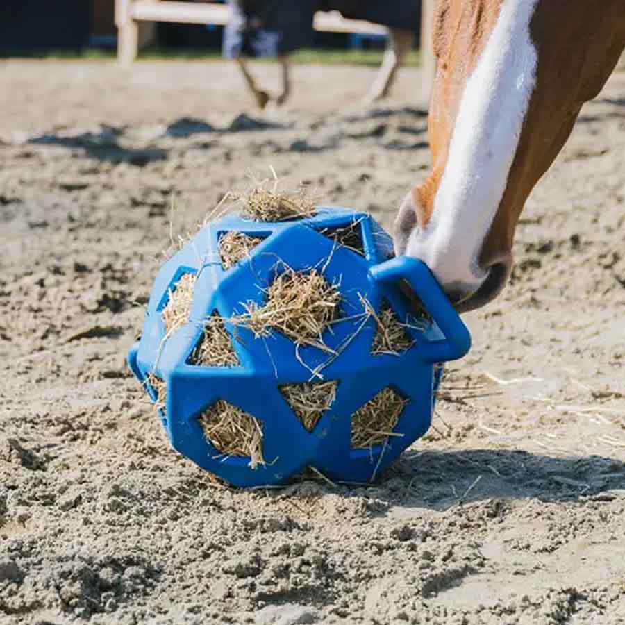 Relax Hay & Play Ball Royal Blue