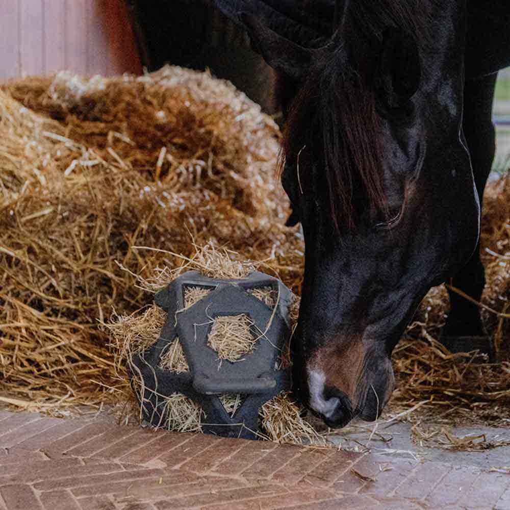 Relax Horse Play & Hay Ball Dark Grey