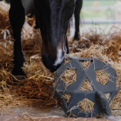 Relax Horse Hay & Play Ball Dark Grey