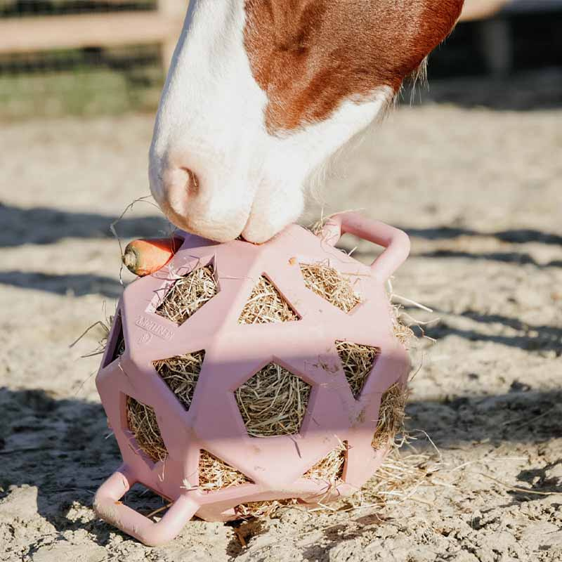 Relax Horse Play & Hay Ball Old Pink
