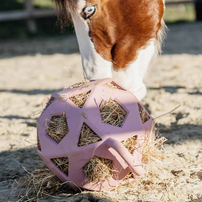 Relax Horse Play & Hay Ball Old Pink