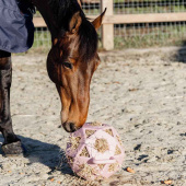 Relax Horse Hay & Play Ball Old Pink
