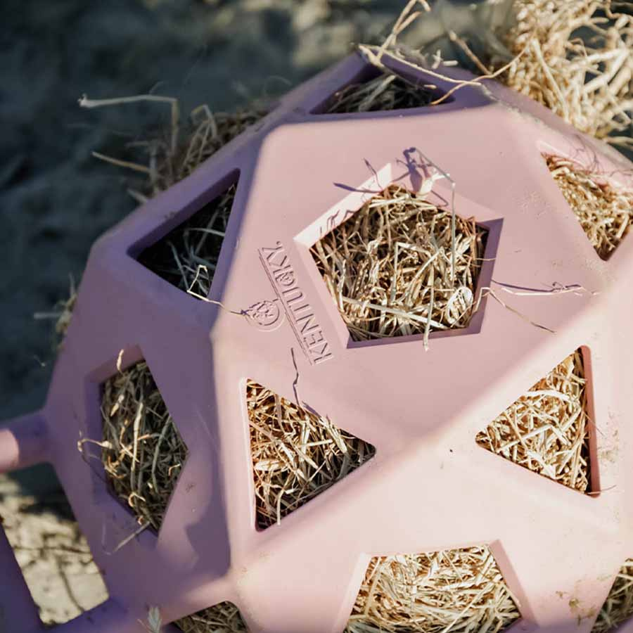 Relax Horse Play & Hay Ball Old Pink