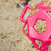 Relax Hay & Play Ball Pink Relax Hay & Play Ball Pink