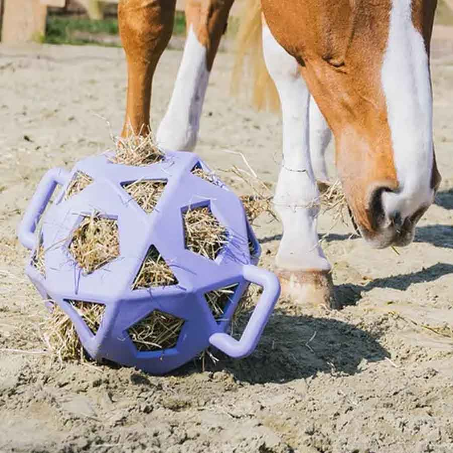 Relax Hay & Play Ball Lavender