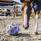 Relax Hay & Play Ball Lavender Relax Hay & Play Ball Lavender