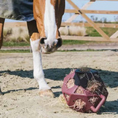 Relax Hay & Play Ball Burgundy Relax Hay & Play Ball Burgundy
