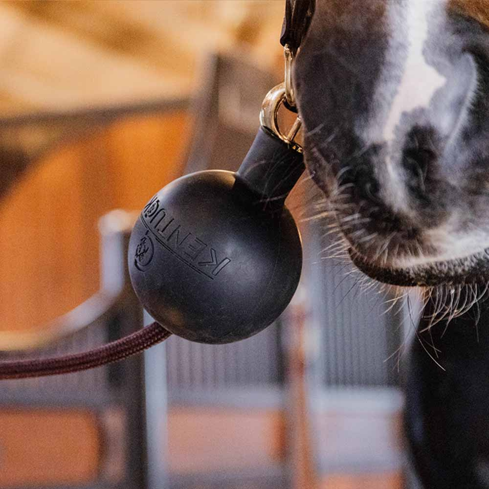 Rubber Ball Lead & Wall Protection Black