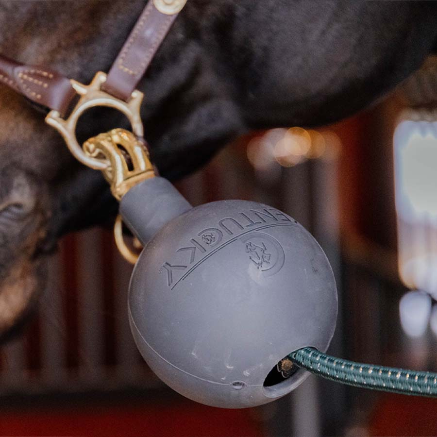 Rubber Ball Lead & Wall Protection Dark Grey