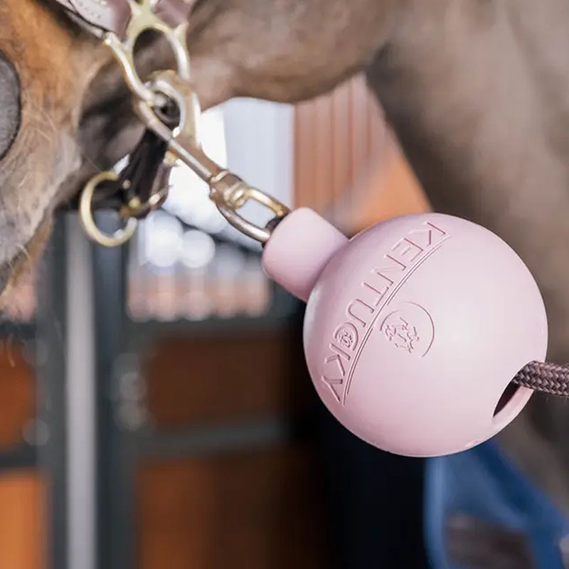 Rubber Ball Lead & Wall Protection Old Rose