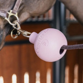 Rubber Ball Lead & Wall Protection Old Rose Rubber Ball Lead & Wall Protection Old Rose